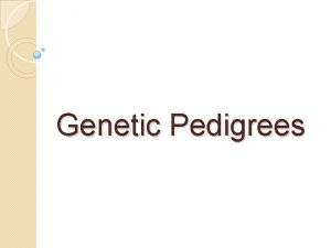 Genetic Pedigrees What is a Pedigree A pedigree