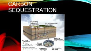 CARBON SEQUESTRATION DEFINITION OF CARBON SEQUESTRATION Carbon Seqestration