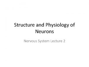 Structure and Physiology of Neurons Nervous System Lecture