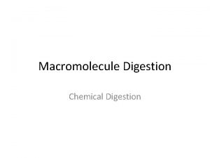 Macromolecule Digestion Chemical Digestion Review What were the
