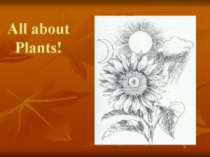 All about Plants The importance of plants n