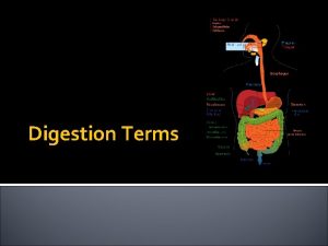 Digestion Terms Digestion The chemical and mechanical breakdown