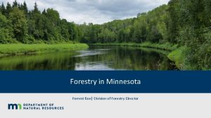 Forestry in Minnesota Forrest Boe Division of Forestry