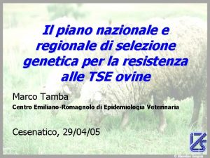 Il piano nazionale e regionale di selezione genetica