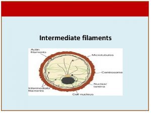 Their name reflects their diameter which is the