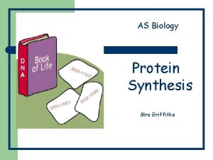AS Biology Protein Synthesis Mrs Griffiths Protein synthesis