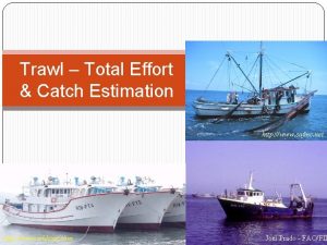 Trawl Total Effort Catch Estimation http www safmc