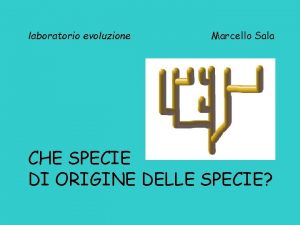 laboratorio evoluzione Marcello Sala CHE SPECIE DI ORIGINE