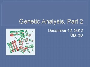 Genetic Analysis Part 2 December 12 2012 SBI