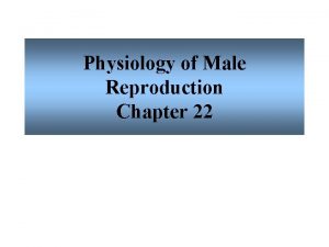 Physiology of Male Reproduction Chapter 22 Male Reproduction