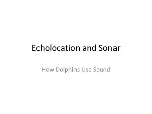 Echolocation and Sonar How Dolphins Use Sound Echolocation
