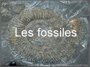 Les fossiles Questce quun fossile restes ou des