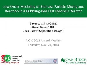 LowOrder Modeling of Biomass Particle Mixing and Reaction