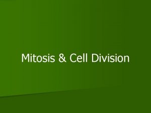 Mitosis Cell Division Cell Grows INTERPHASE Genetic Material