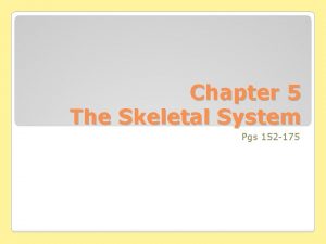 Chapter 5 The Skeletal System Pgs 152 175