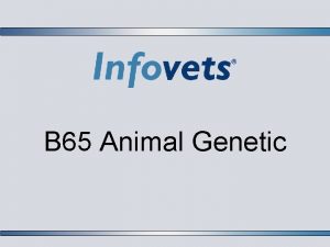 B 65 Animal Genetic Lesson Outline Introduction Phenotype