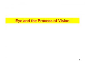 Eye and the Process of Vision 1 Eye