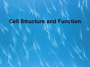 Cell Structure and Function Cells Smallest living unit
