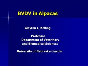 BVDV in Alpacas Clayton L Kelling Professor Department