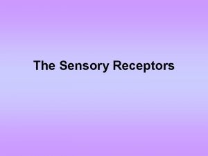 The Sensory Receptors The sensory receptors are cells
