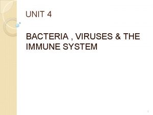 UNIT 4 BACTERIA VIRUSES THE IMMUNE SYSTEM 1