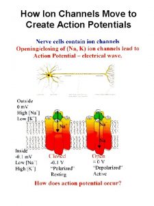 How Ion Channels Move to Create Action Potentials