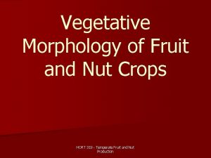 Vegetative Morphology of Fruit and Nut Crops HORT