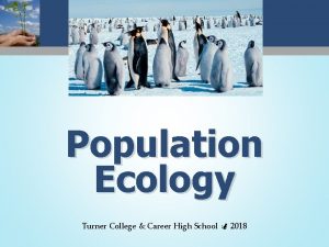 Population Ecology Turner College Career High School 2018