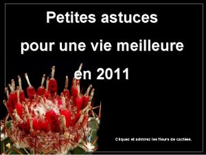 Petites astuces pour une vie meilleure en 2011