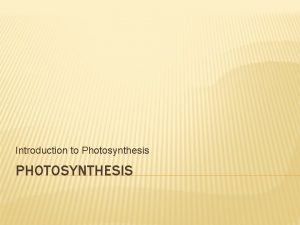 Introduction to Photosynthesis PHOTOSYNTHESIS PHOTOSYNTHESIS The Photosynthesis Equation