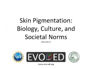 Skin Pigmentation Biology Culture and Societal Norms slide