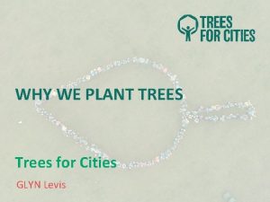 WHY WE PLANT TREES Trees for Cities GLYN