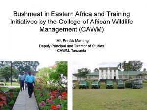 Bushmeat in Eastern Africa and Training Initiatives by