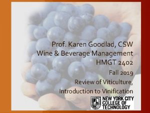 Prof Karen Goodlad CSW Wine Beverage Management HMGT