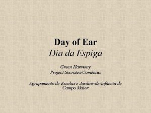 Day of Ear Dia da Espiga Green Harmony