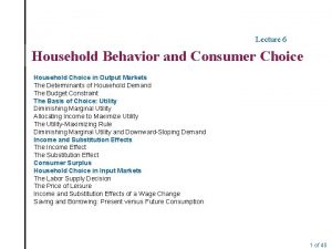 Lecture 6 Household Behavior and Consumer Choice Household