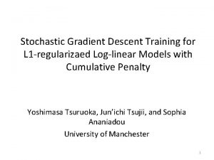 Stochastic Gradient Descent Training for L 1 regularizaed