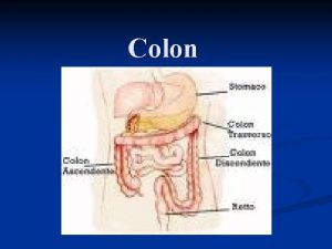 Colon Sindrome del Colon Irritabile e una malattia Colon Sindrome del Colon Irritabile e una malattia