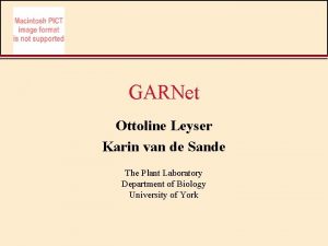 GARNet Ottoline Leyser Karin van de Sande The