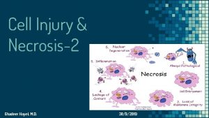 Cell Injury Necrosis2 Ghadeer Hayel MD Ghadeer Hayel