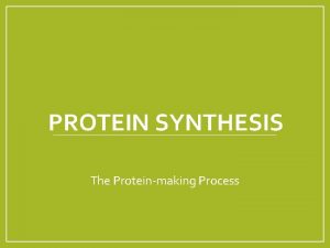 PROTEIN SYNTHESIS The Proteinmaking Process Protein Synthesis Gene