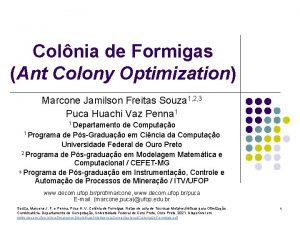 Colnia de Formigas Ant Colony Optimization Marcone Jamilson