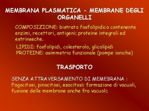 MEMBRANA PLASMATICA MEMBRANE DEGLI ORGANELLI COMPOSIZIONE bistrato fosfolipidico