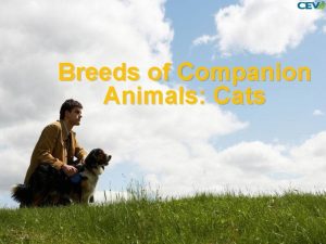 Breeds of Companion Animals Cats Objectives To examine