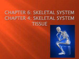 CHAPTER 6 SKELETAL SYSTEM CHAPTER 4 SKELETAL SYSTEM