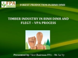 FOREST PRODUCTION IN BINH DINH TIMBER INDUSTRY IN