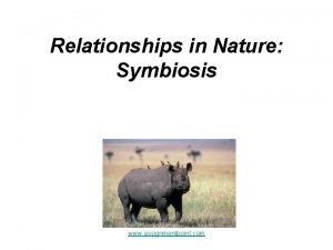 Relationships in Nature Symbiosis www assignmentpoint com Symbiosis