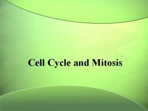 Cell Cycle and Mitosis Why do cells divide