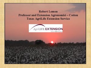 Robert Lemon Professor and Extension Agronomist Cotton Texas