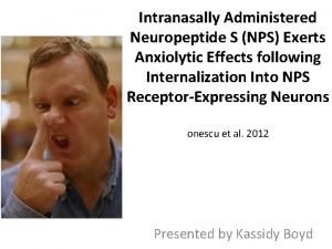 Intranasally Administered Neuropeptide S NPS Exerts Anxiolytic Effects